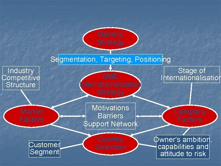 Generic Strategy Segmentation, Targeting, Positioning Industry Competitive Structure Market Factors Customer Segment SME Internationalisation