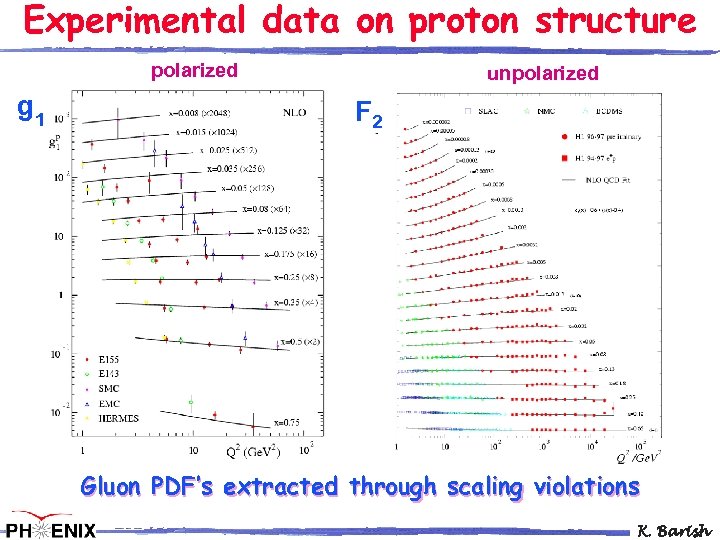 Experimental data on proton structure polarized g 1 unpolarized F 2 Gluon PDF’s extracted