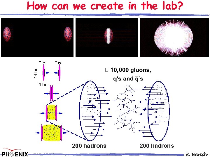 14 fm How can we create in the lab? 1 fm 200 hadrons K.
