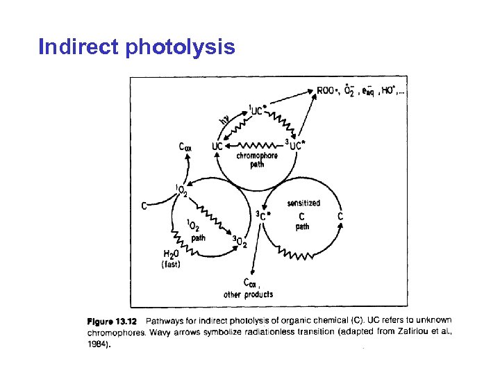 Indirect photolysis 