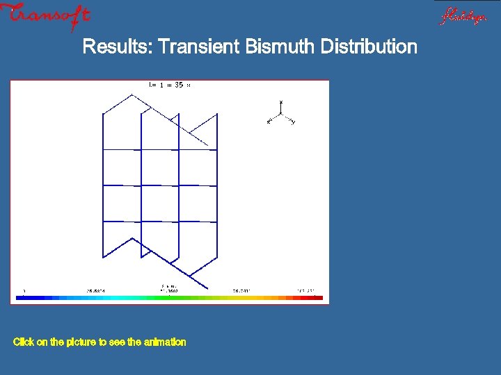 Results: Transient Bismuth Distribution Click on the picture to see the animation 
