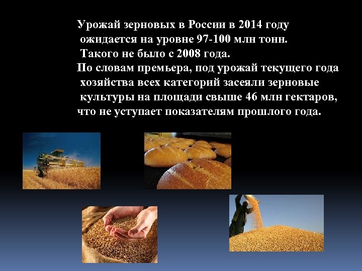Урожай зерновых в России в 2014 году ожидается на уровне 97 -100 млн тонн.