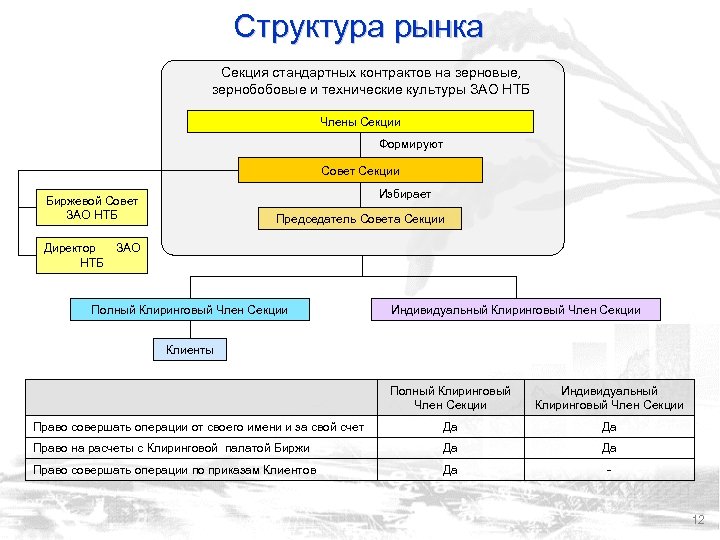 Структура рынка Секция стандартных контрактов на зерновые, зернобобовые и технические культуры ЗАО НТБ Члены