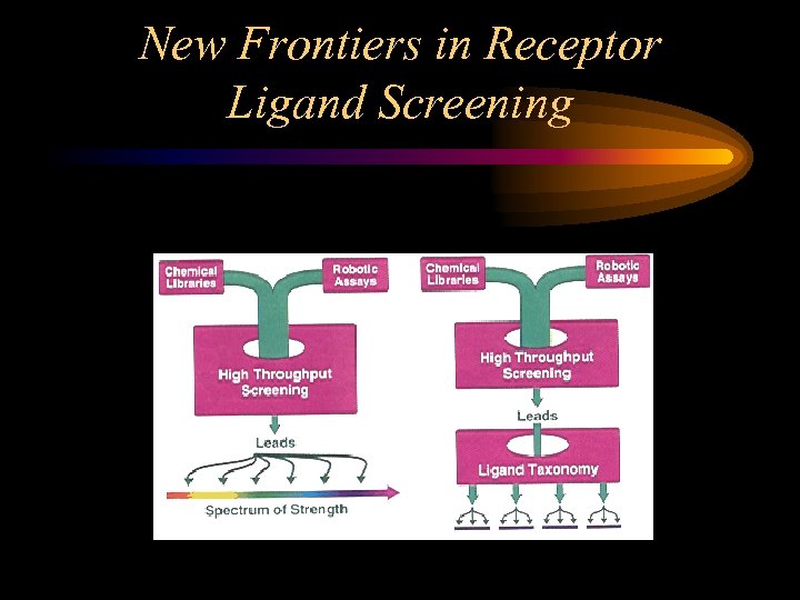New Frontiers in Receptor Ligand Screening 