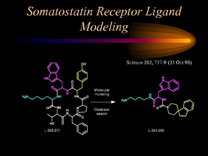 Somatostatin Receptor Ligand Modeling Science 282, 737 -9 (23 Oct 98) 
