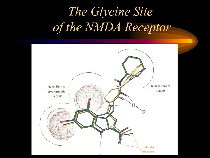 The Glycine Site of the NMDA Receptor 