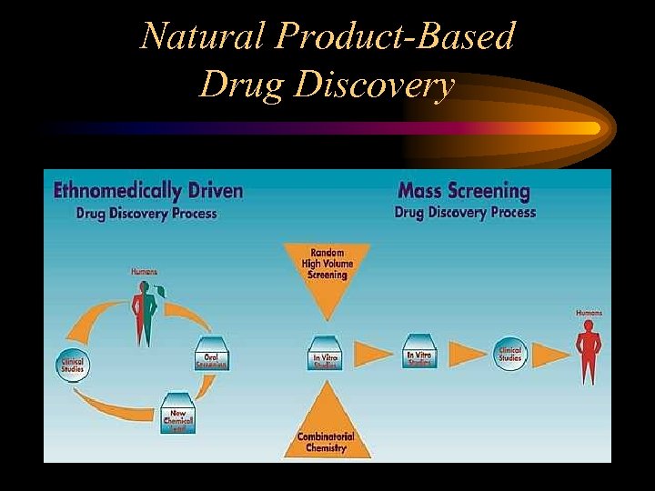 Natural Product-Based Drug Discovery 