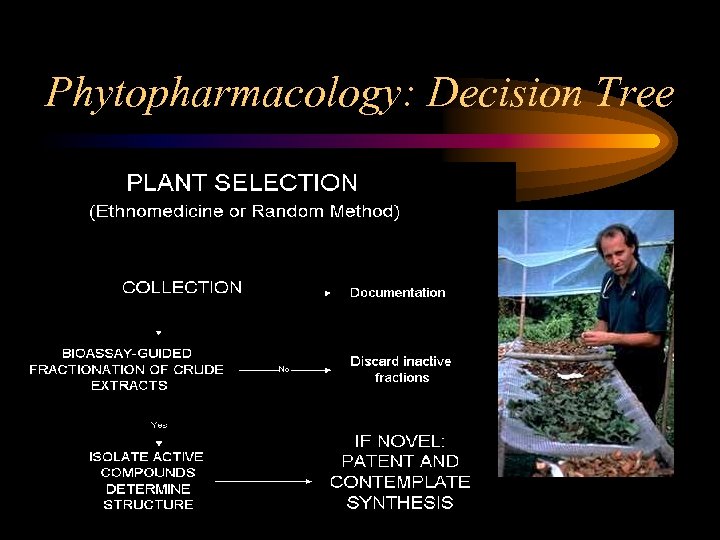 Phytopharmacology: Decision Tree 