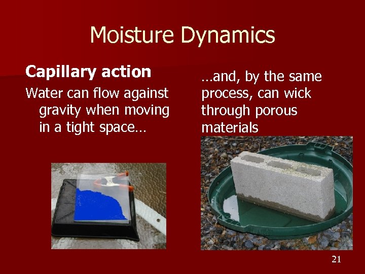 Moisture Dynamics Capillary action Water can flow against gravity when moving in a tight