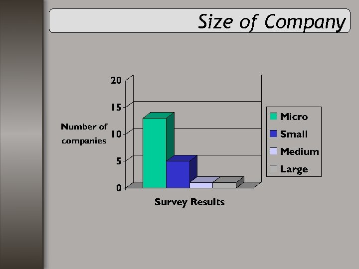 Size of Company 