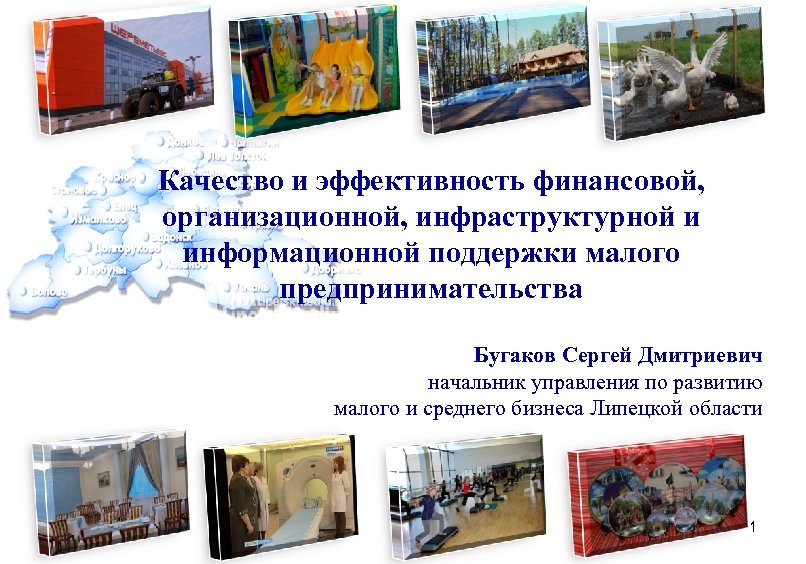 Качество и эффективность финансовой, организационной, инфраструктурной и информационной поддержки малого предпринимательства Бугаков Сергей Дмитриевич