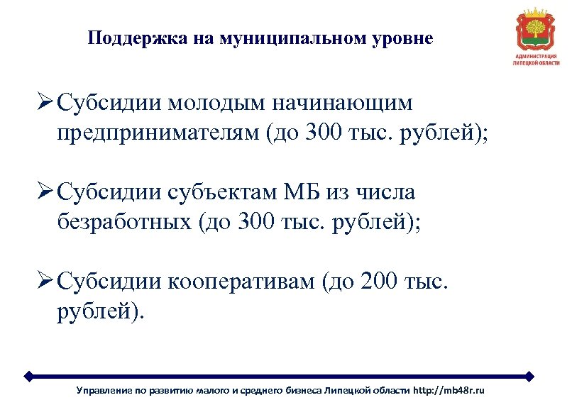 Поддержка на муниципальном уровне Ø Субсидии молодым начинающим предпринимателям (до 300 тыс. рублей); Ø