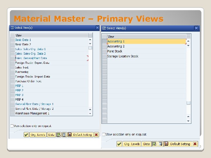 Material Master – Primary Views 5 