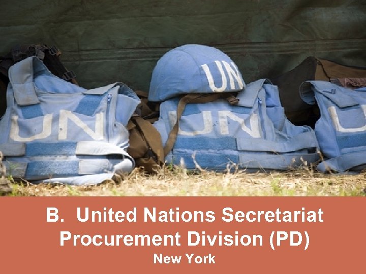 B. United Nations Secretariat Procurement Division (PD) New York 