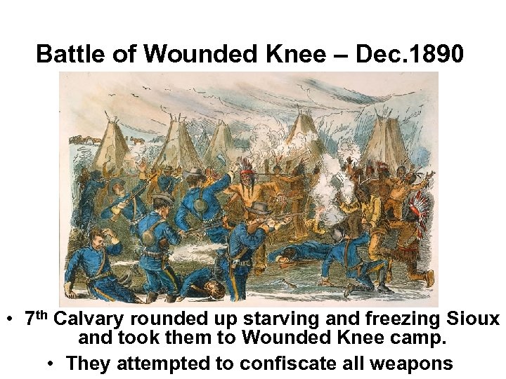 Battle of Wounded Knee – Dec. 1890 • 7 th Calvary rounded up starving
