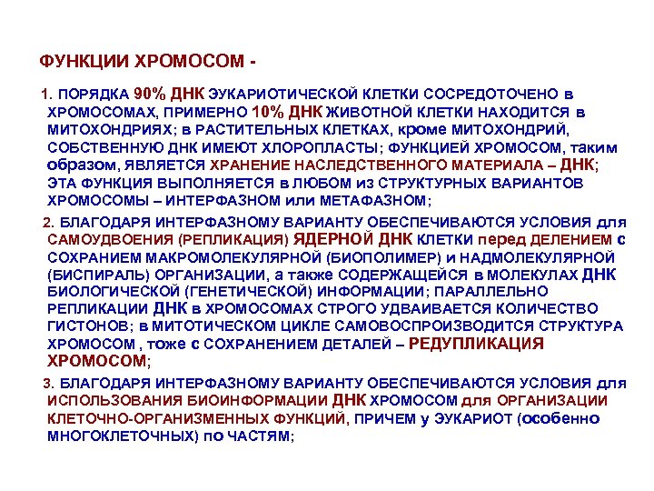 Содержит собственную днк. Функции хромосом. Функции хромосом кратко. Строение и функции хромосом. ДНК. Репликация ДНК..