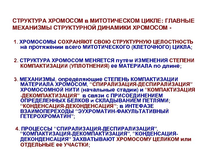СТРУКТУРА ХРОМОСОМ в МИТОТИЧЕСКОМ ЦИКЛЕ: ГЛАВНЫЕ МЕХАНИЗМЫ СТРУКТУРНОЙ ДИНАМИКИ ХРОМОСОМ 1. ХРОМОСОМЫ СОХРАНЯЮТ СВОЮ