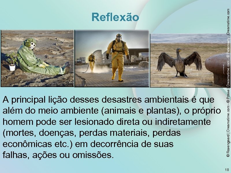 A principal lição desses desastres ambientais é que além do meio ambiente (animais e