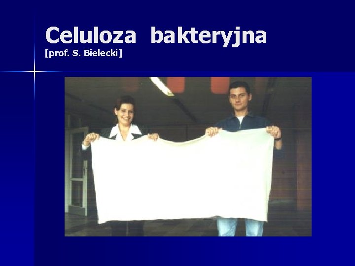 Celuloza bakteryjna [prof. S. Bielecki] 