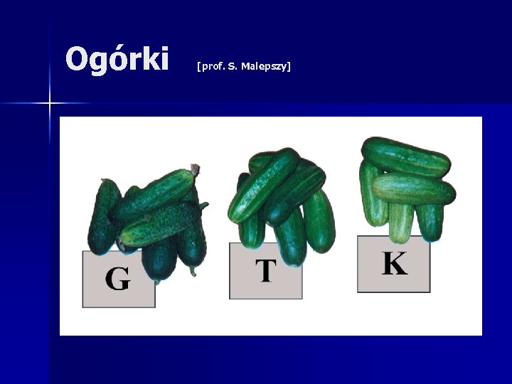 Ogórki [prof. S. Malepszy] 