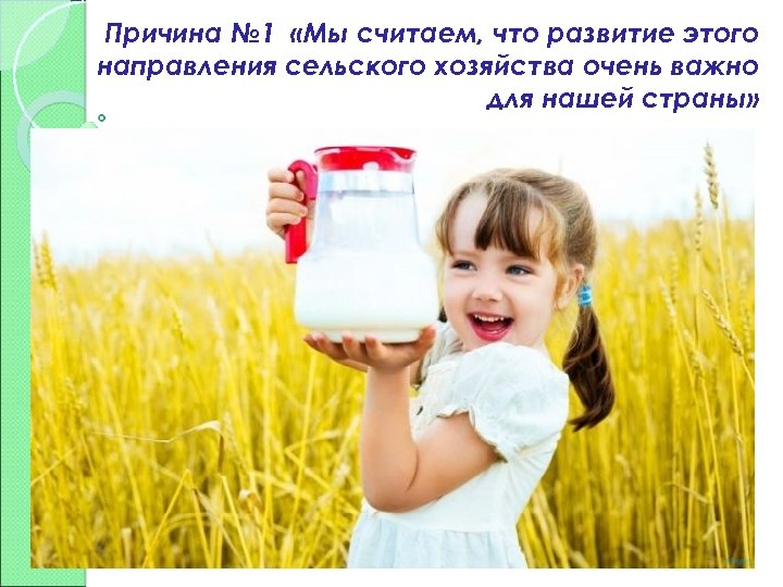 Причина № 1 «Мы считаем, что развитие этого направления сельского хозяйства очень важно для