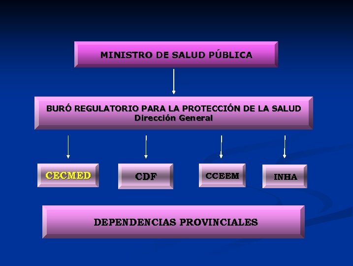 MINISTRO DE SALUD PÚBLICA BURÓ REGULATORIO PARA LA PROTECCIÓN DE LA SALUD Dirección General