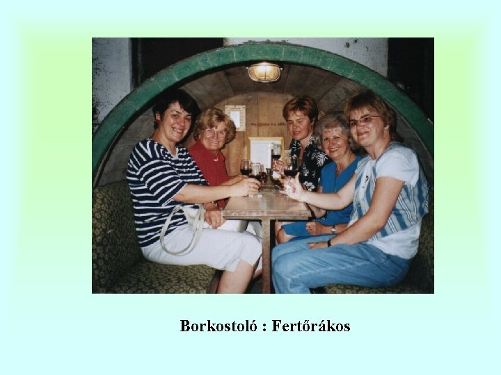 Borkostoló : Fertőrákos 