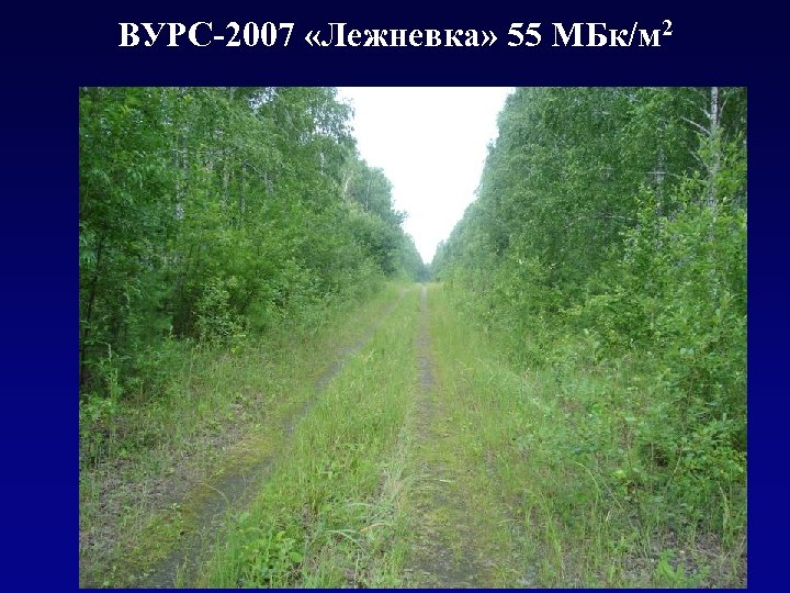 ВУРС-2007 «Лежневка» 55 МБк/м 2 