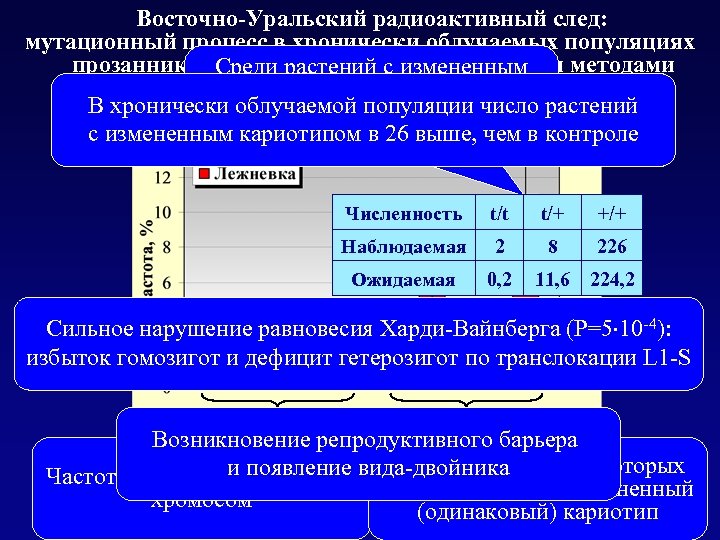 Восточно-Уральский радиоактивный след: мутационный процесс в хронически облучаемых популяциях прозанника, выявлемый цитогенетическими методами Среди