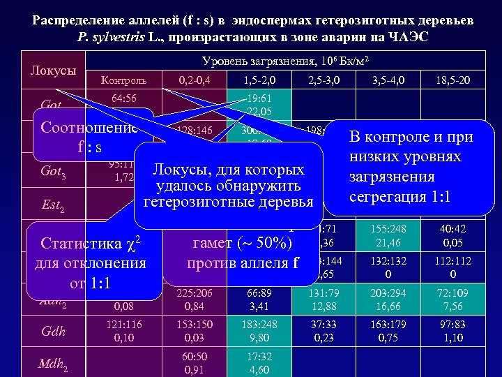 Распределение аллелей (f : s) в эндоспермах гетерозиготных деревьев P. sylvestris L. , произрастающих