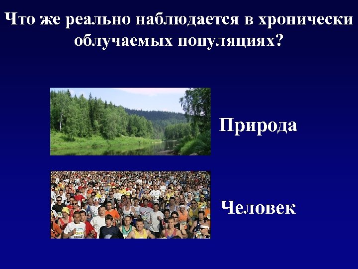 Что же реально наблюдается в хронически облучаемых популяциях? Природа Человек 