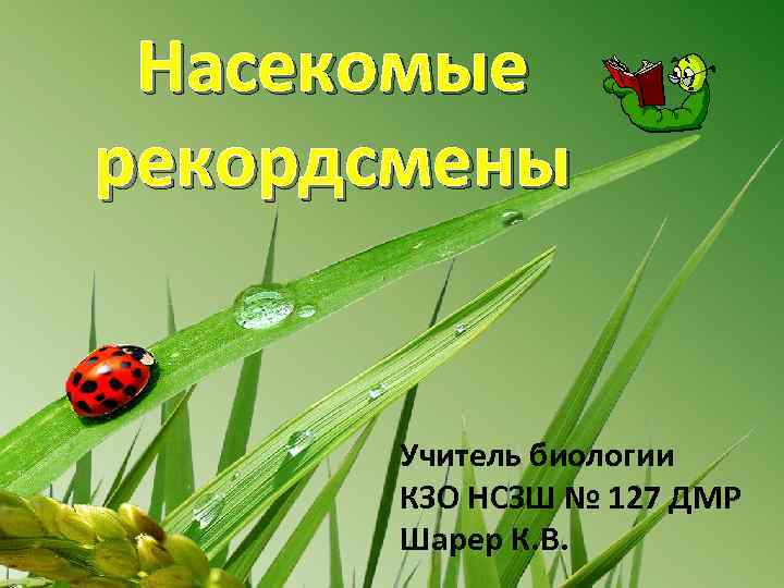 Насекомые рекордсмены Учитель биологии КЗО НСЗШ № 127 ДМР Шарер К. В. 