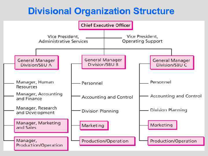 Divisional Organization Structure 13 -19 