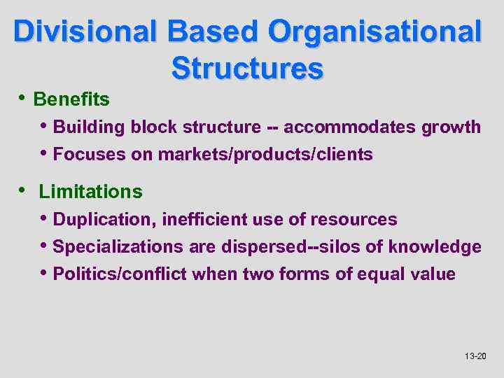 Divisional Based Organisational Structures • Benefits • Building block structure -- accommodates growth •