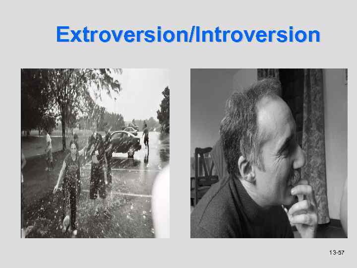 Extroversion/Introversion 13 -57 