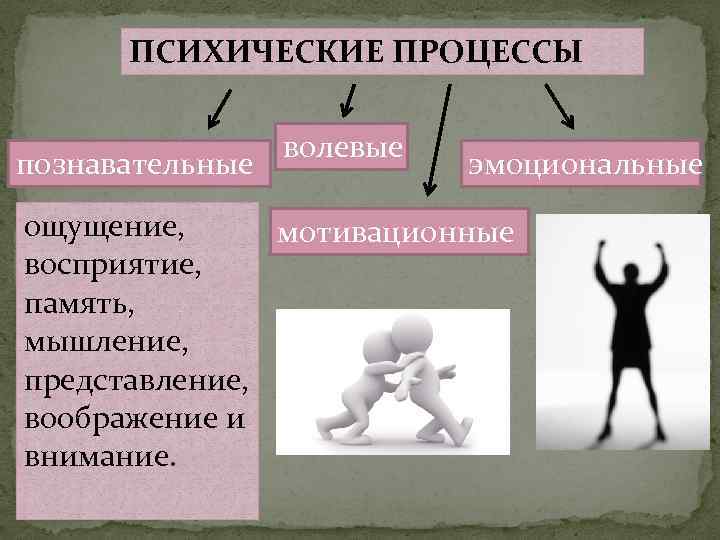 Познавательные процессы и интеллект презентация 8 класс биология