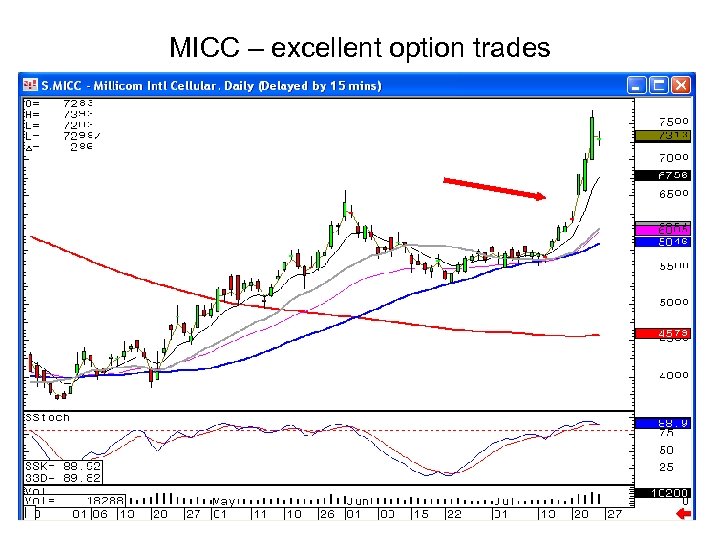 MICC – excellent option trades 