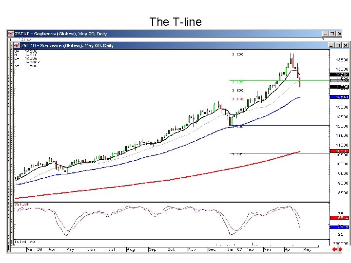 The T-line 