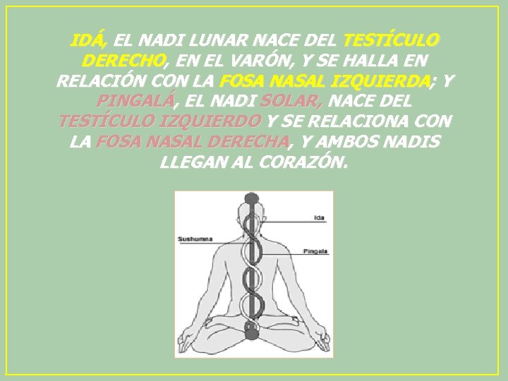 IDÁ, EL NADI LUNAR NACE DEL TESTÍCULO DERECHO, EN EL VARÓN, Y SE HALLA