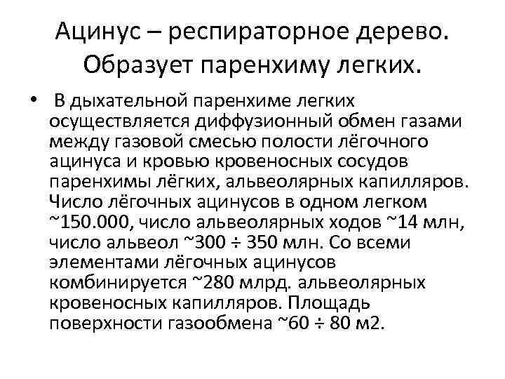 Ацинус – респираторное дерево. Образует паренхиму легких. • В дыхательной паренхиме легких осуществляется диффузионный