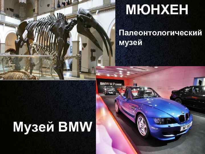 МЮНХЕН Палеонтологический музей Музей BMW 