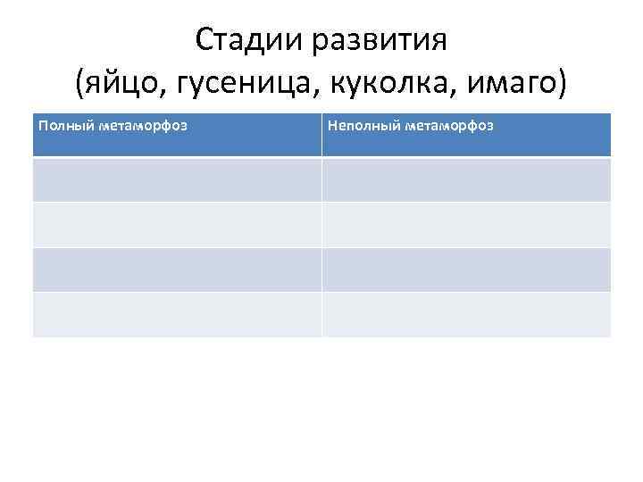 Стадии развития (яйцо, гусеница, куколка, имаго) Полный метаморфоз Неполный метаморфоз 