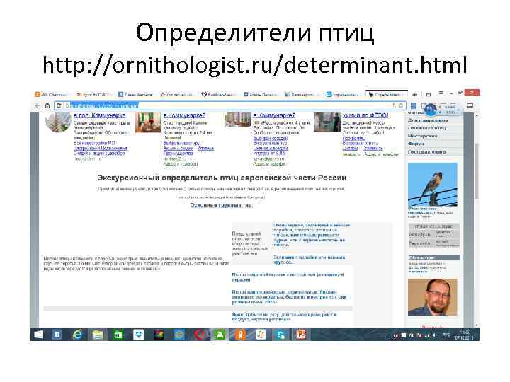 Определители птиц http: //ornithologist. ru/determinant. html 