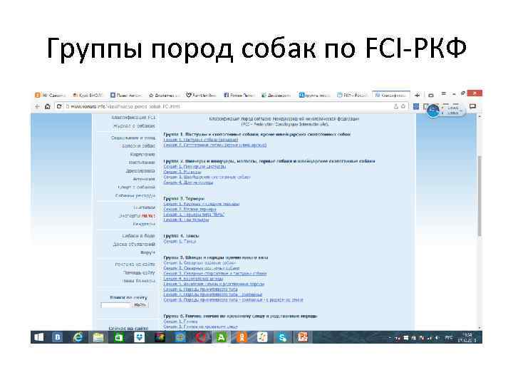 Группы пород собак по FCI-РКФ 