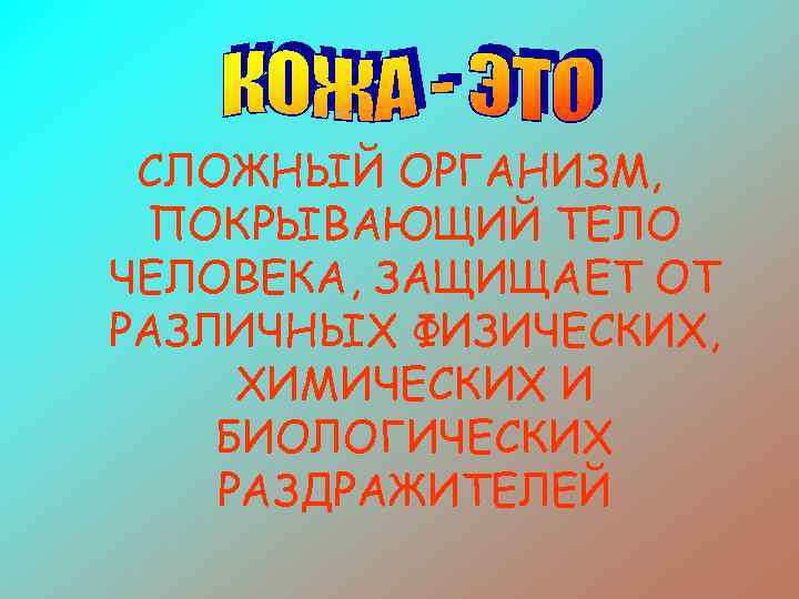 СЛОЖНЫЙ ОРГАНИЗМ, ПОКРЫВАЮЩИЙ ТЕЛО ЧЕЛОВЕКА, ЗАЩИЩАЕТ ОТ РАЗЛИЧНЫХ ФИЗИЧЕСКИХ, ХИМИЧЕСКИХ И БИОЛОГИЧЕСКИХ РАЗДРАЖИТЕЛЕЙ 