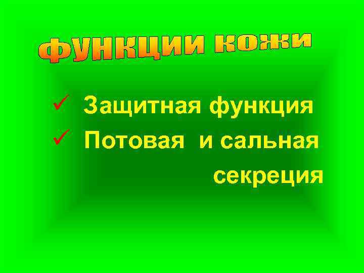 ü Защитная функция ü Потовая и сальная секреция 