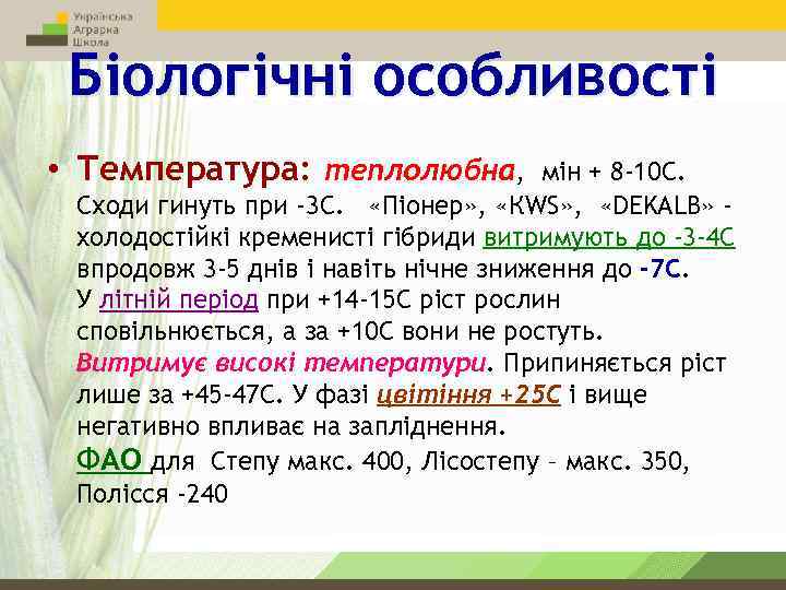 Біологічні особливості • Температура: теплолюбна, мін + 8 -10 С. Сходи гинуть при -3