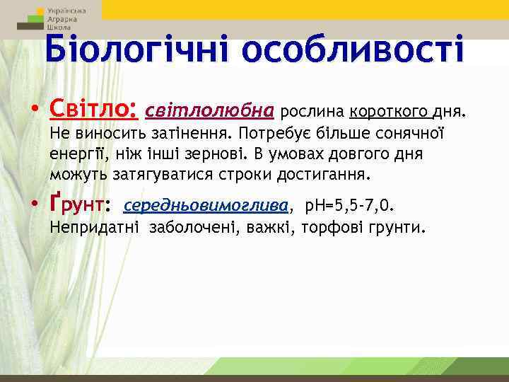 Біологічні особливості • Світло: світлолюбна рослина короткого дня. Не виносить затінення. Потребує більше сонячної