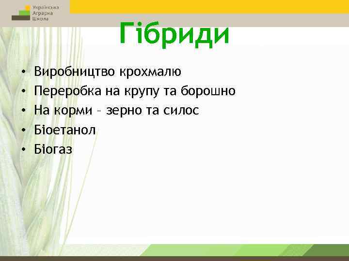 Гібриди • • • Виробництво крохмалю Переробка на крупу та борошно На корми –