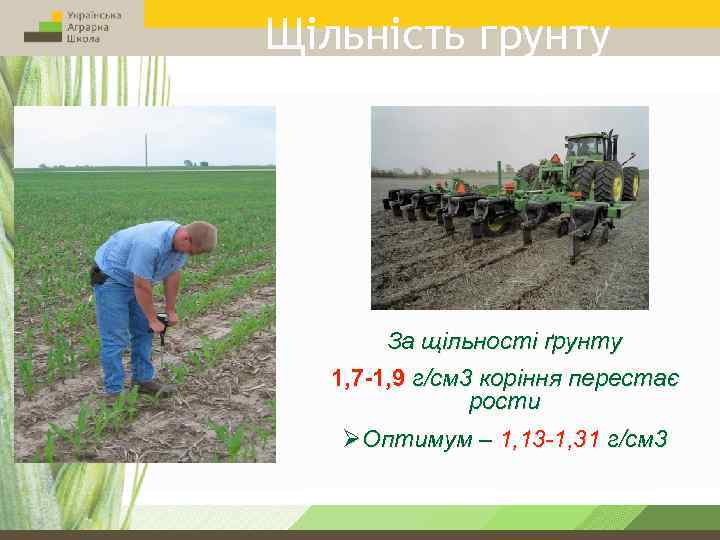 Щільність грунту За щільності ґрунту 1, 7 -1, 9 г/см 3 коріння перестає рости